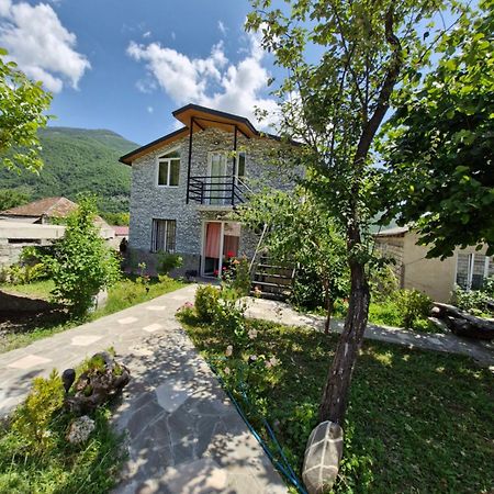 Ananuri Veranda- Hotel Guest House Экстерьер фото